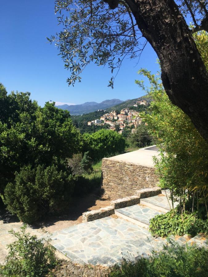 Villa Milanu Oletta (Corsica) Exterior foto
